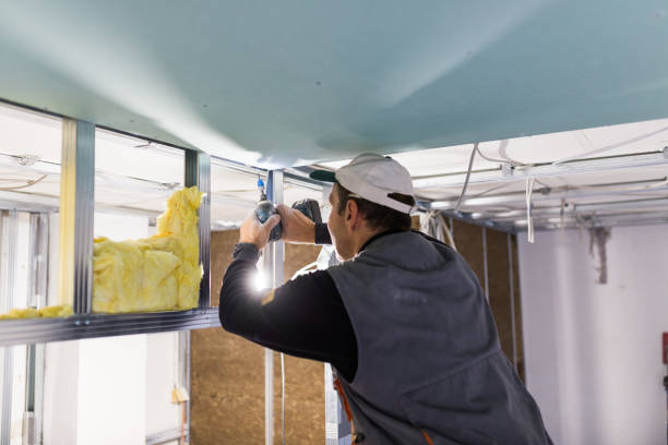 Professional Insulation Contractor in Muscoy, CA