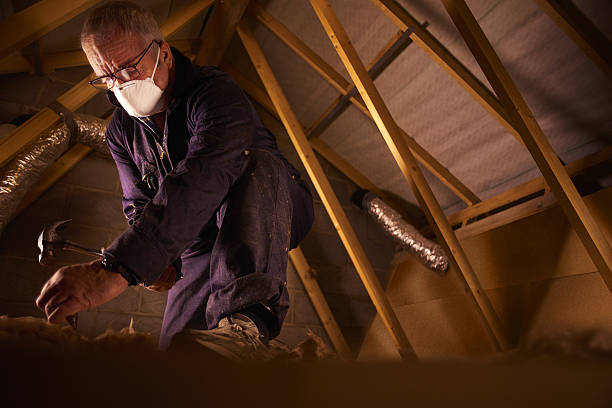 Best Energy Efficiency Insulation in Muscoy, CA